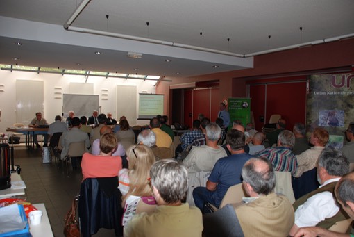 Un condcuteur et son chien