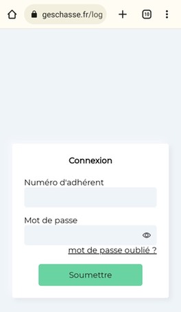 Un chien avec une blessure